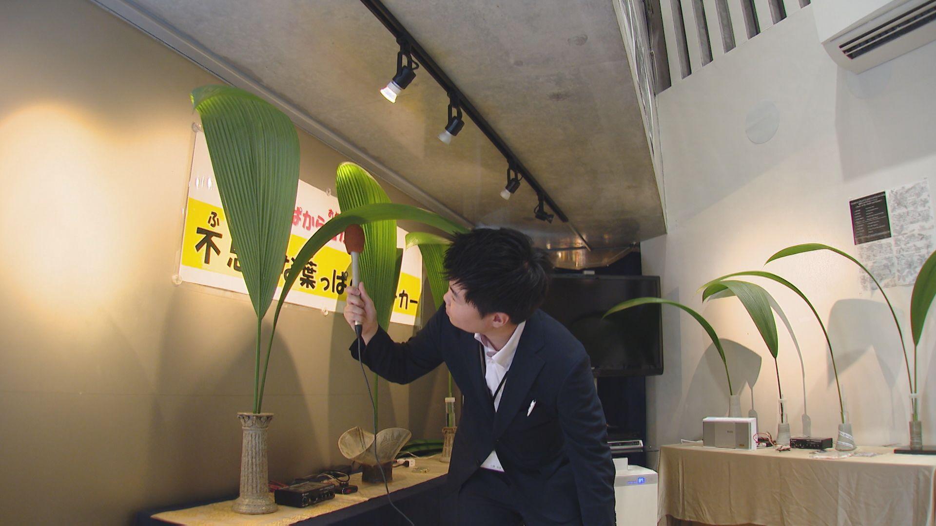 長崎市で自然環境について考える企画展始まる