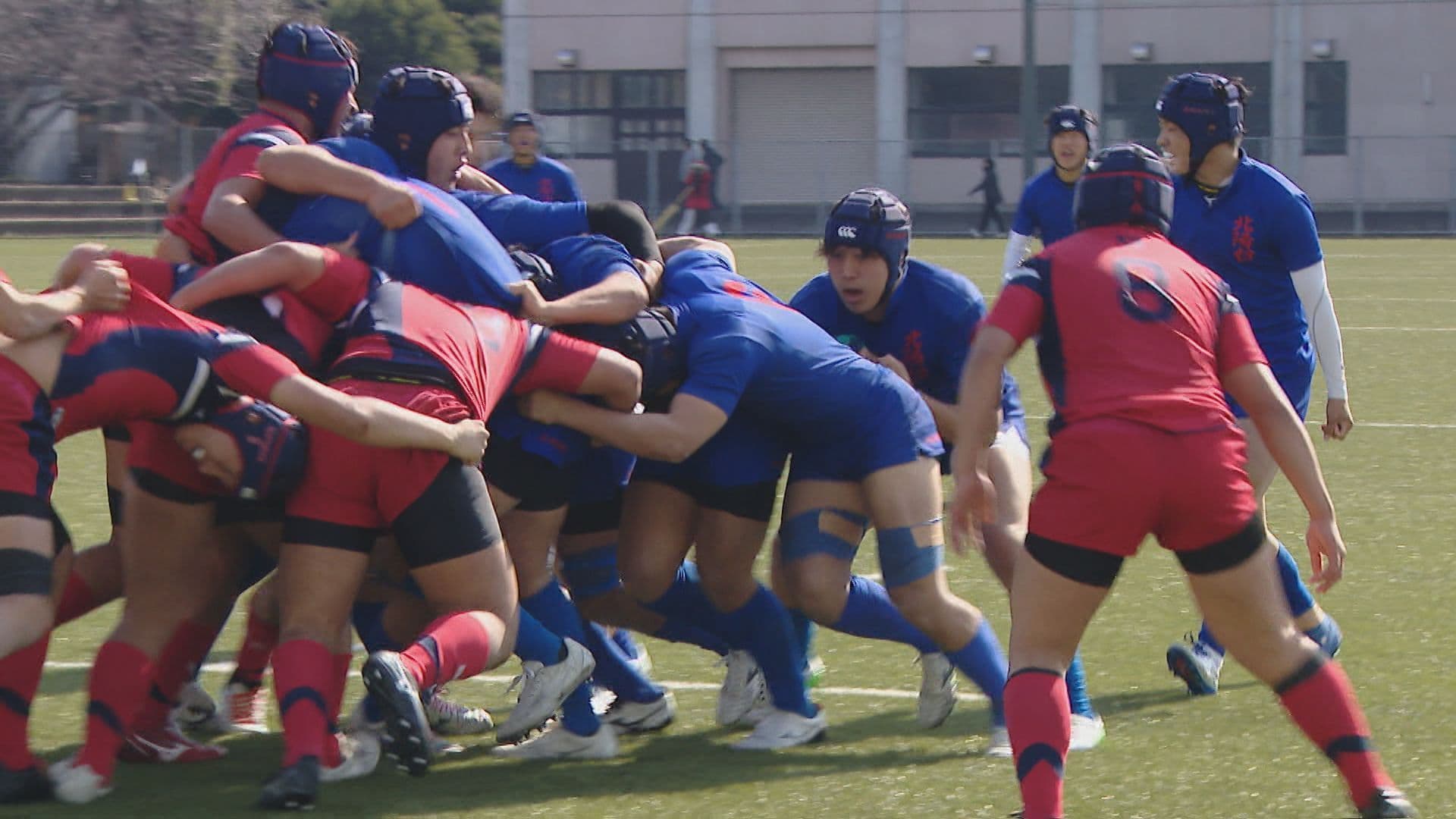 県高校新人大会ラグビー　決勝は長崎北陽台と長崎南山が激突