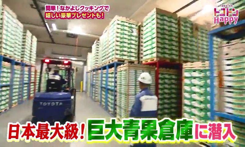 日本最大級　巨大青果倉庫に潜入　キウイフルーツの秘密に迫る