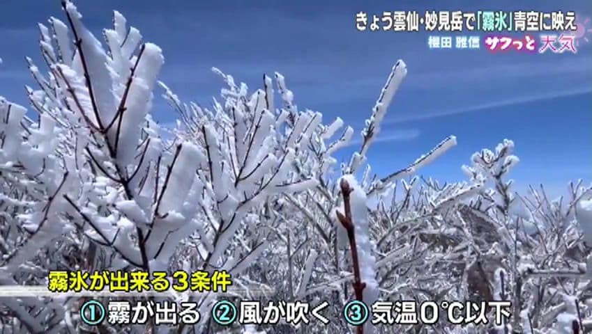 250307_185542_16