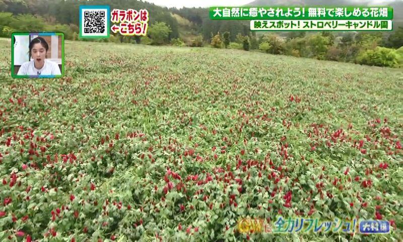 250503_094807_06