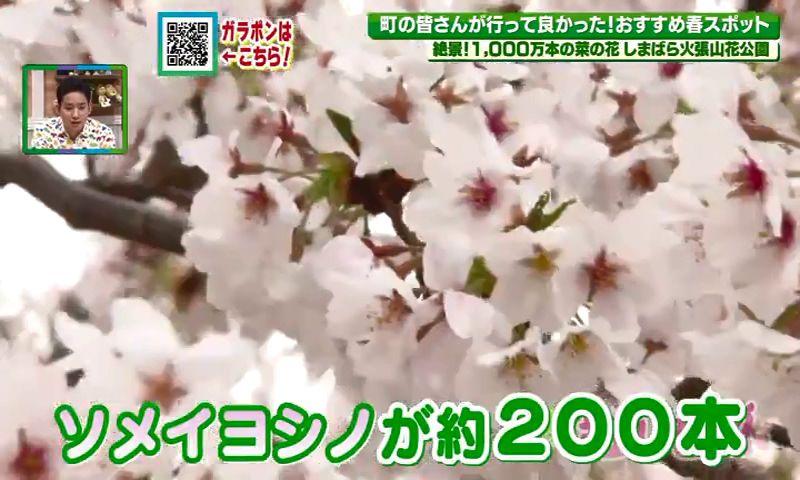 250405_094657_15