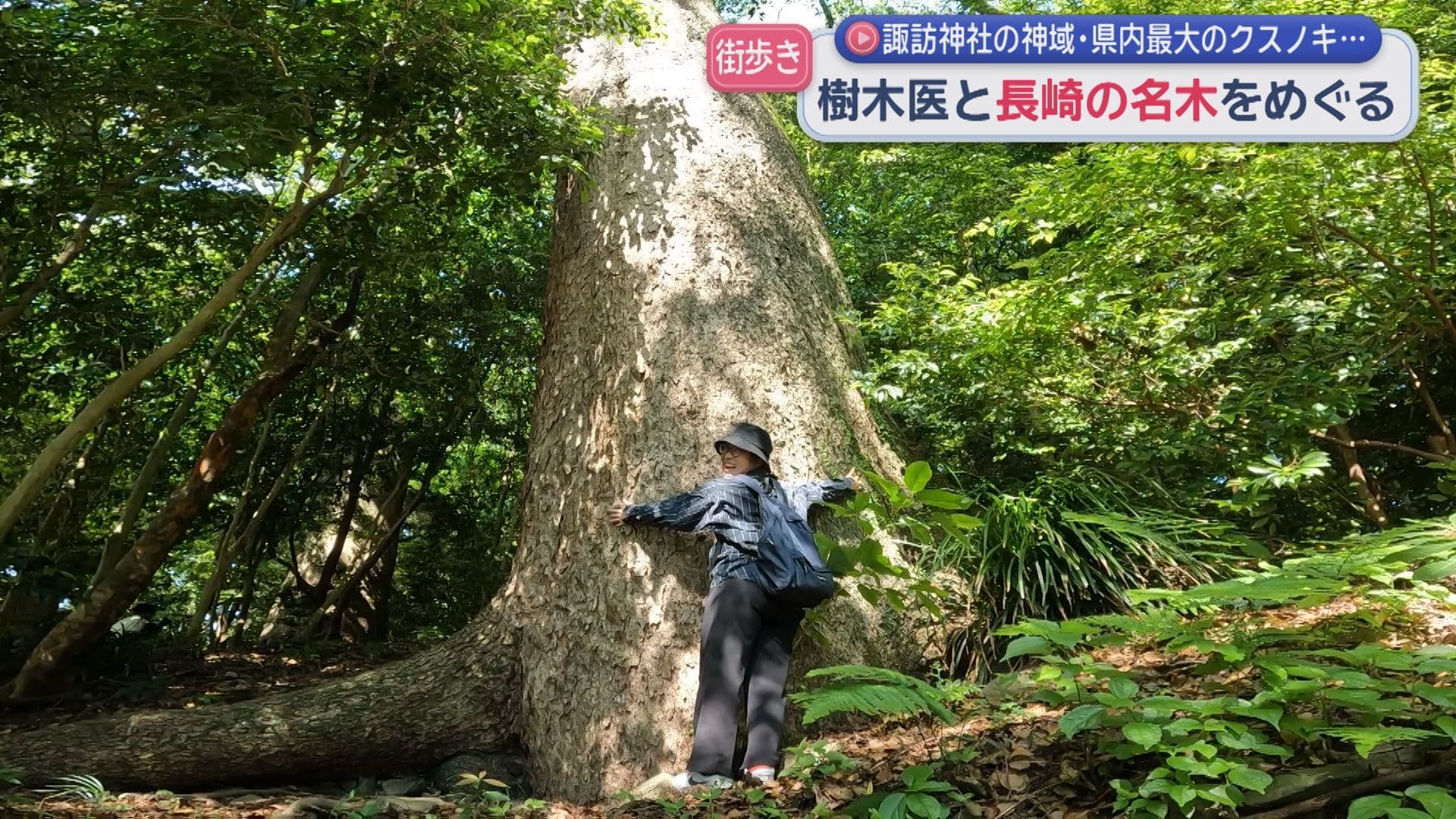 1樹木医さるくサムネ