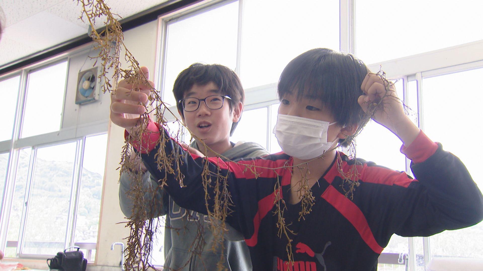 0527大村湾ワンダーベイ海藻スクール