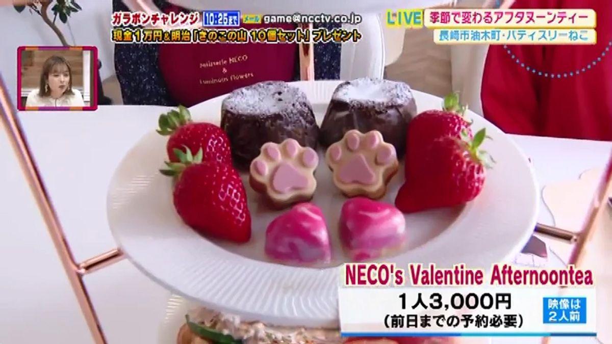 neko6
