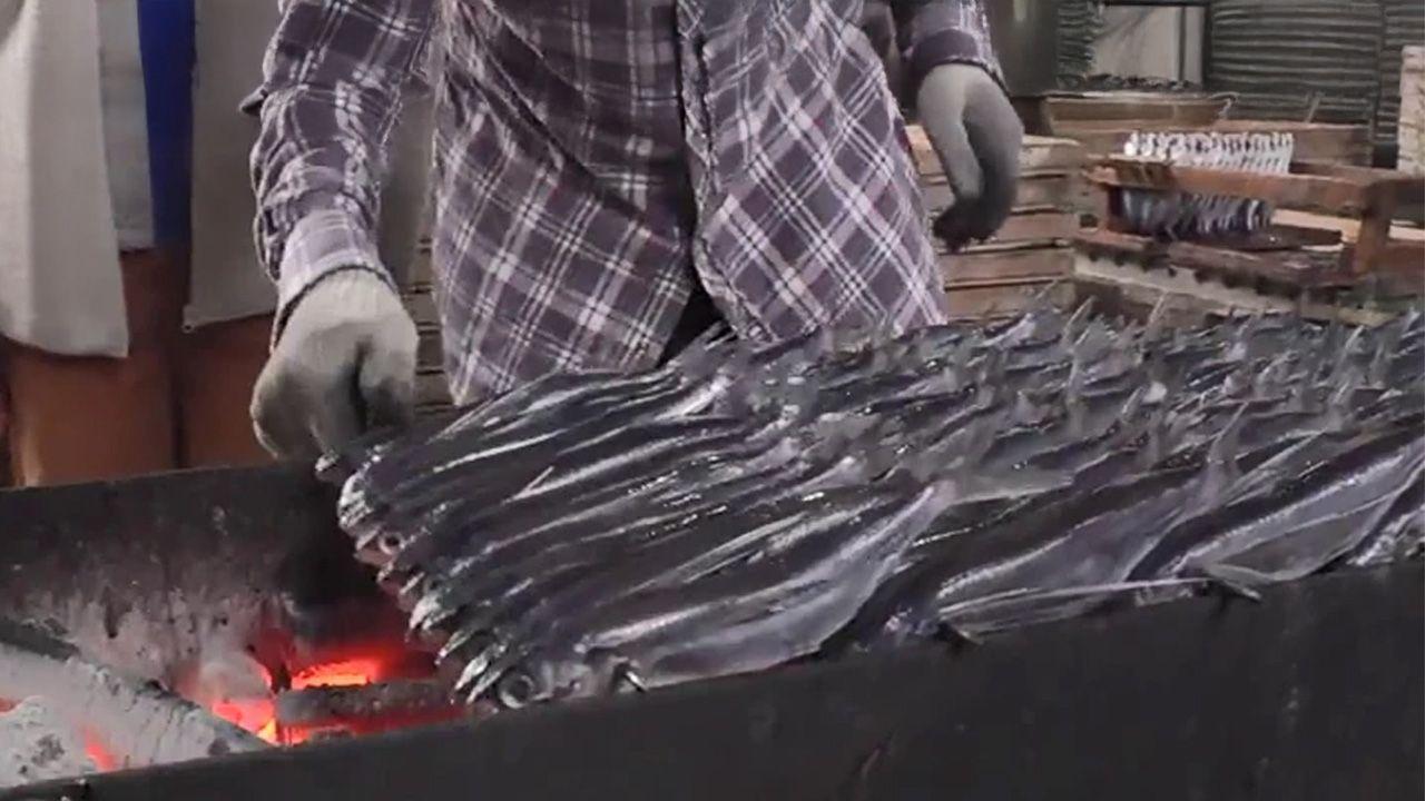 澄んだ黄金色の出汁　創業120年「焼きあご」工場を訪問　平戸市「林水産」