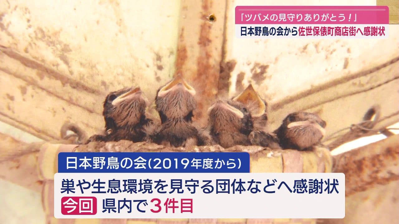 ｢ツバメの見守りありがとう！｣日本野鳥の会から佐世保俵町商店街へ感謝状