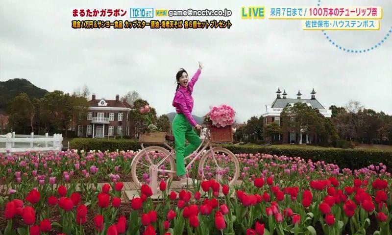 映え映えなフォトスポットも！春爛漫！ハウステンボス中継
