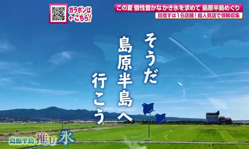 かき氷を食べたくなったら「そうだ島原半島へ行こう」　スタンプラリーで「推し氷」めぐり