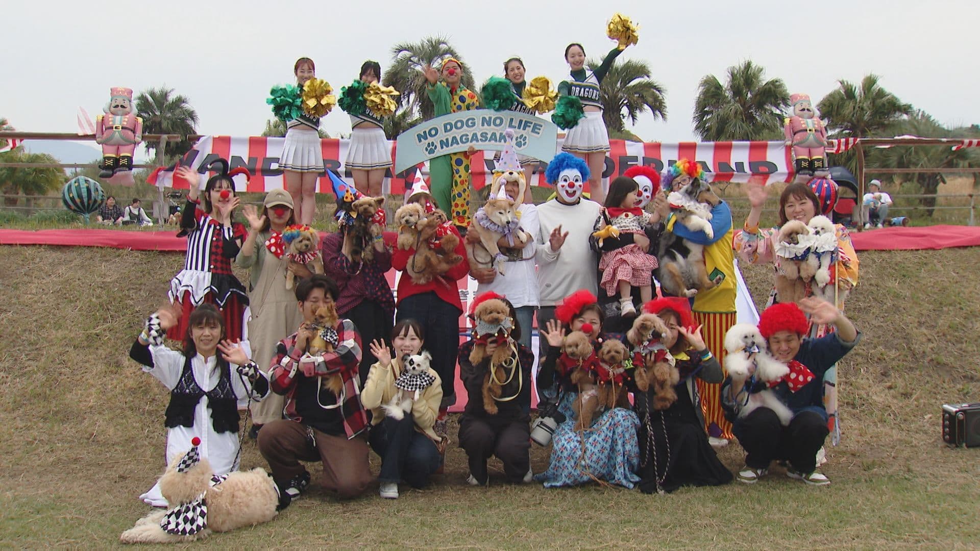 「笑顔いっぱいになれる」　伊王島にワンちゃん大集合　