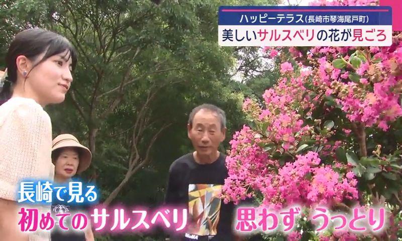 形上湾を一望「ハッピーテラス」　夫婦が育てる花の名所を西尾菜穂気象予報士がリポート 