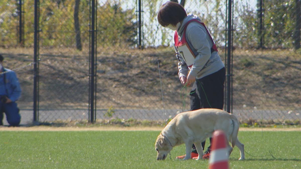 【長崎】犯人役の匂いをたどれ！嘱託警察犬審査会に13頭エントリー　高齢者など行方不明者の捜索や事件捜査に従事
