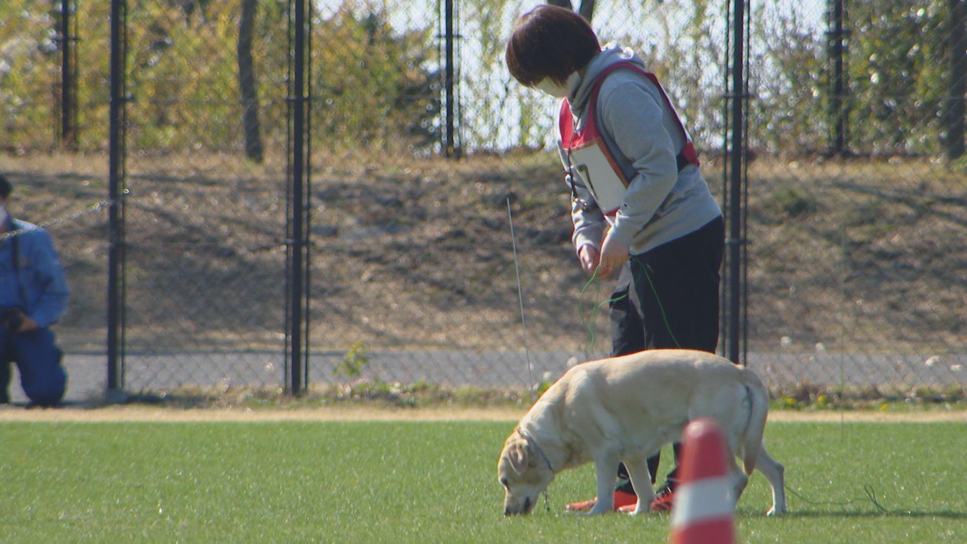 【長崎】犯人役の匂いをたどれ！嘱託警察犬審査会に13頭エントリー　高齢者など行方不明者の捜索や事件捜査に従事