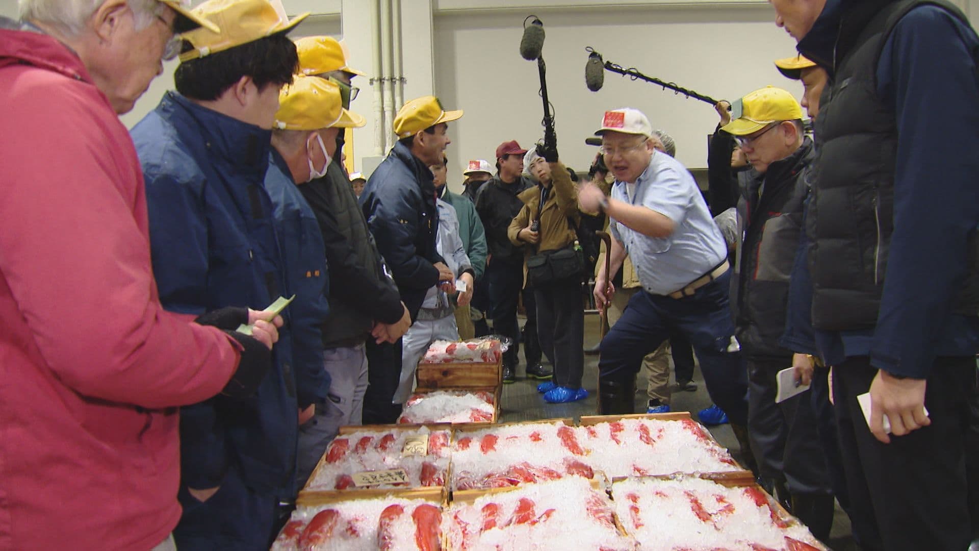 初水揚げは去年の３倍！長崎魚市で初競り 巨大クロマグロも登場