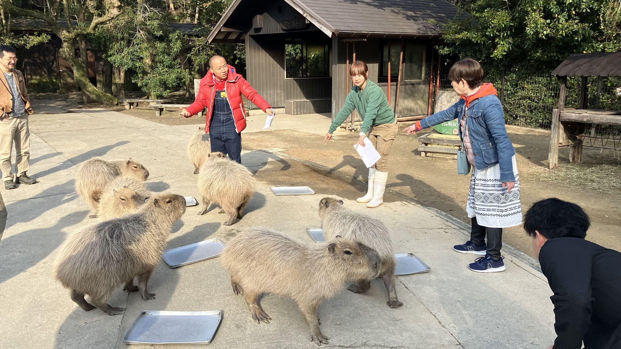 長崎バイオパークで飼育員さんのお手伝い