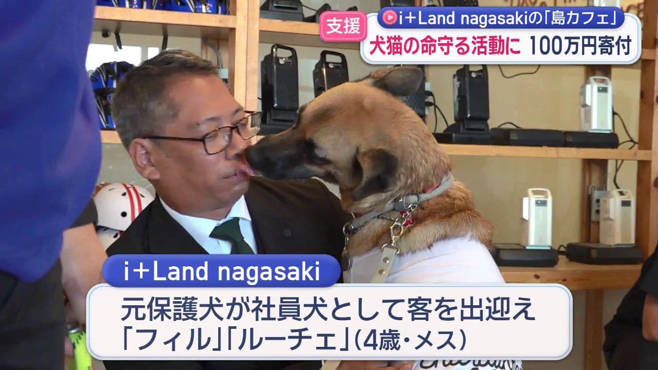 i＋Land nagasakiの｢島カフェ｣が犬や猫の命守る活動に100万円寄付