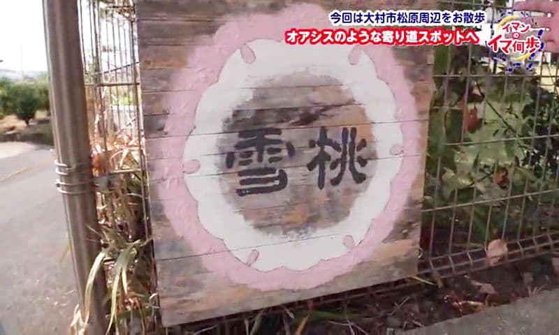 多良岳天然水の氷にたっぷり新鮮フルーツの"極上フルーツかき氷"　大村市「雪桃」