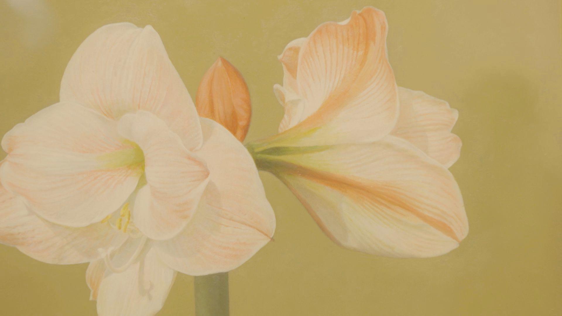 元高校の美術教員　加野尚志さん８２歳の展覧会　花と器の美しさを描く