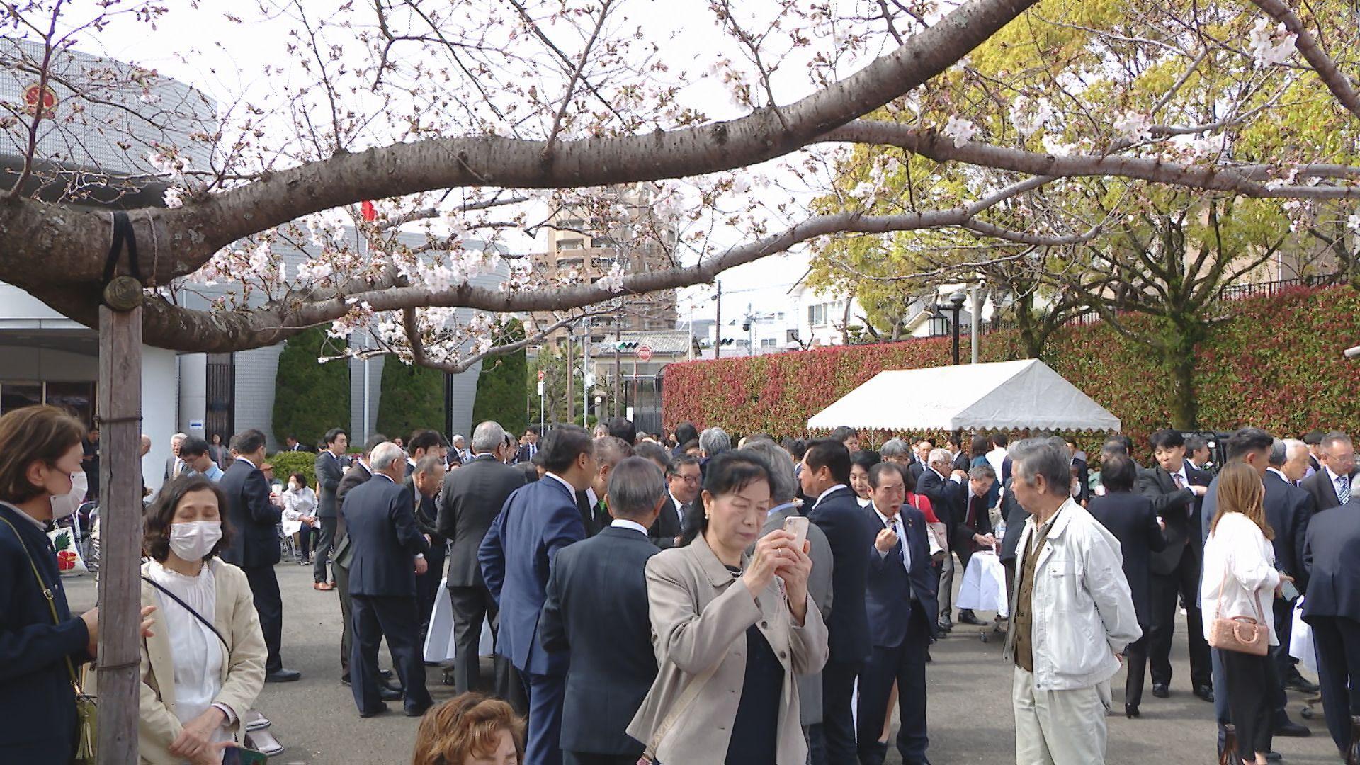 花見で日中友好　中国駐長崎総領事館で観桜会