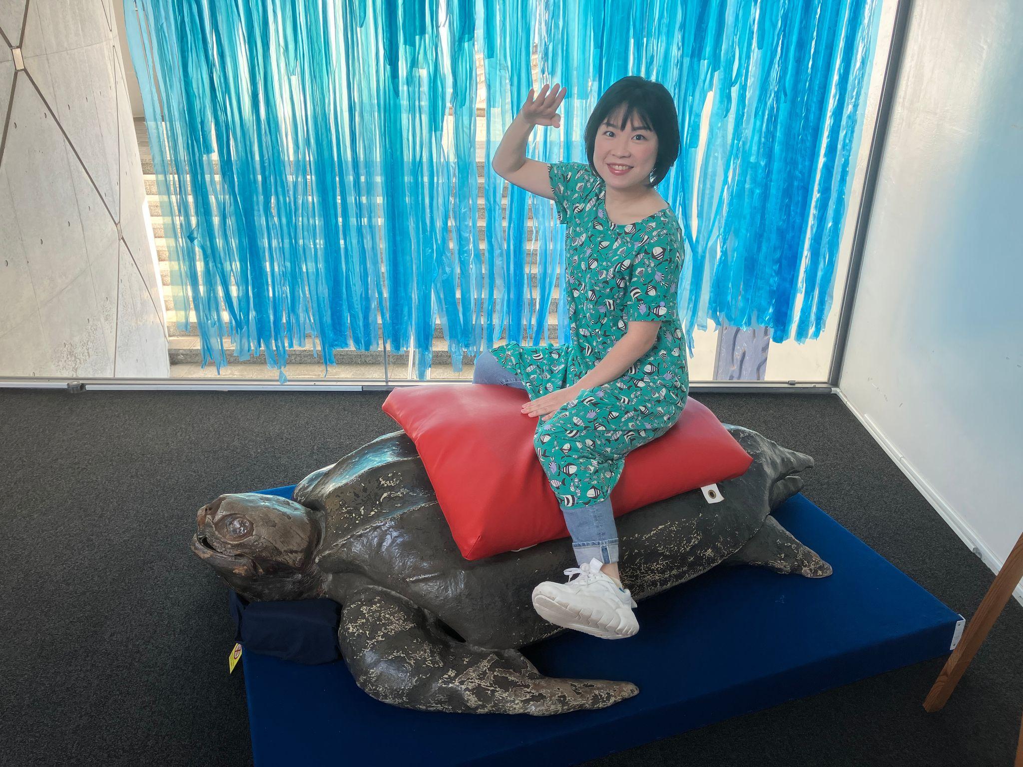 海きららに世界のカメ大集合！