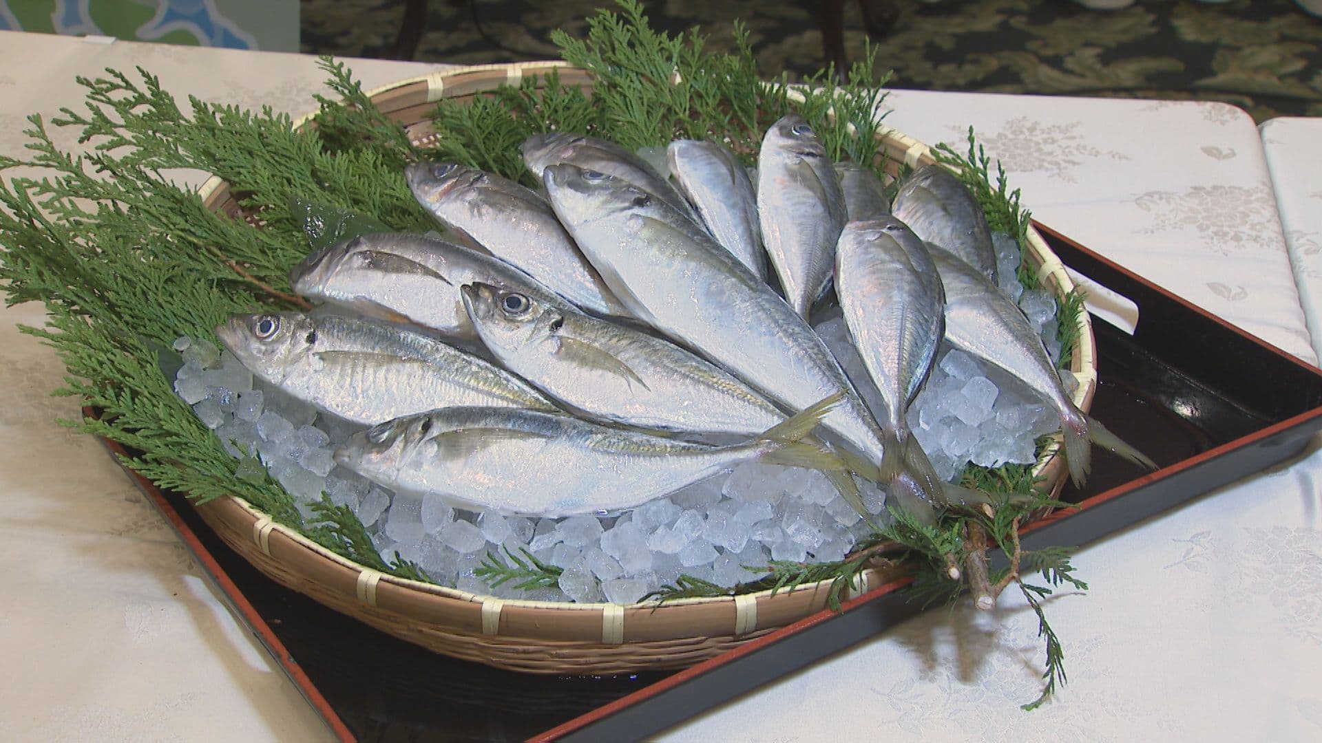 消費拡大目指して「推し魚」第２号に松浦市「マアジ」選定