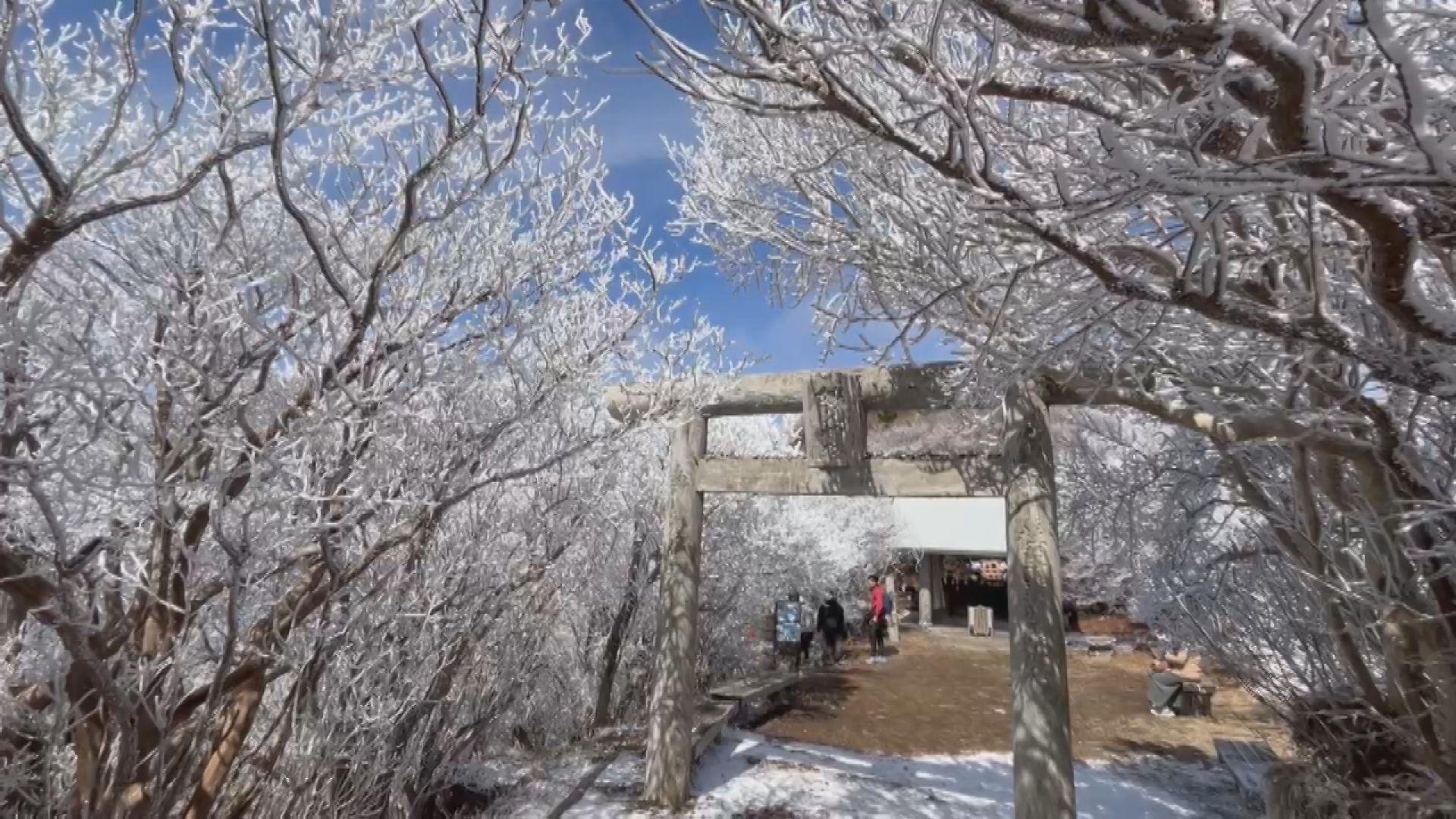幻想的な光景！雲仙妙見岳で冬の風物詩「霧氷」