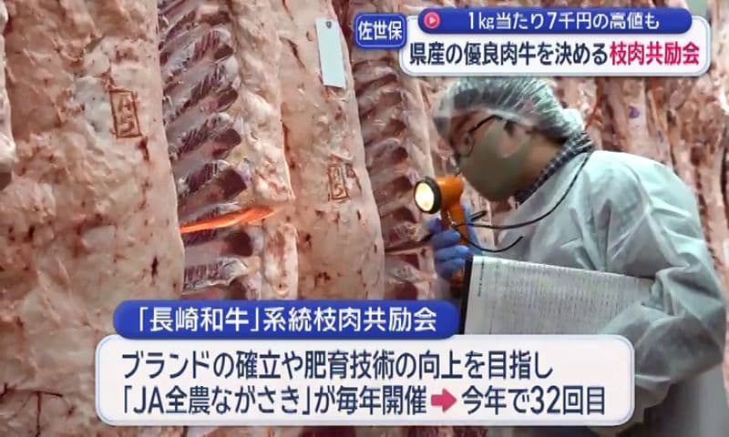 1kg当たり7千円の高値も！佐世保市で県産の優良肉牛を決める枝肉共励会