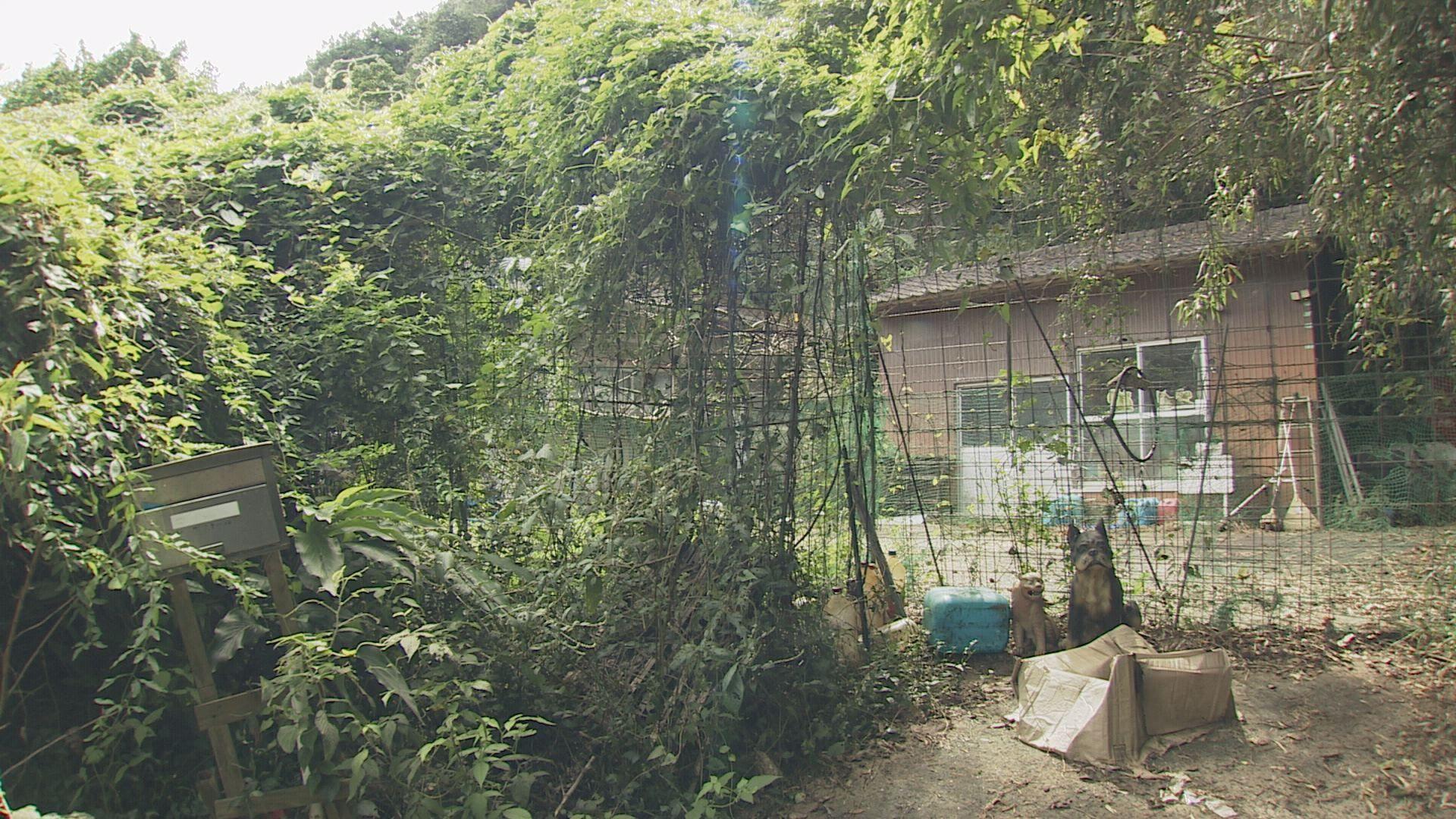 【長崎】死んだ犬３匹を放置した自宅で９匹の犬を飼育…山野哲也被告に有罪判決