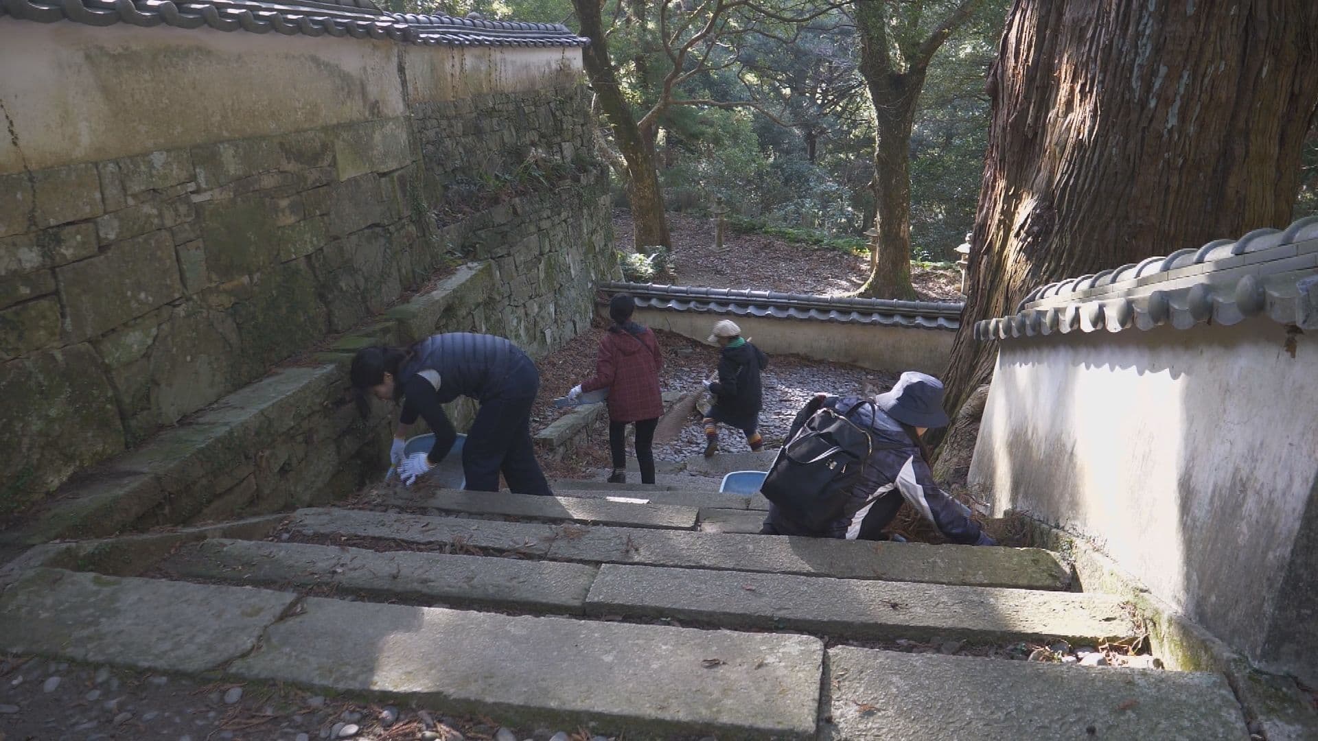 対馬「万松院」を市民が清掃
