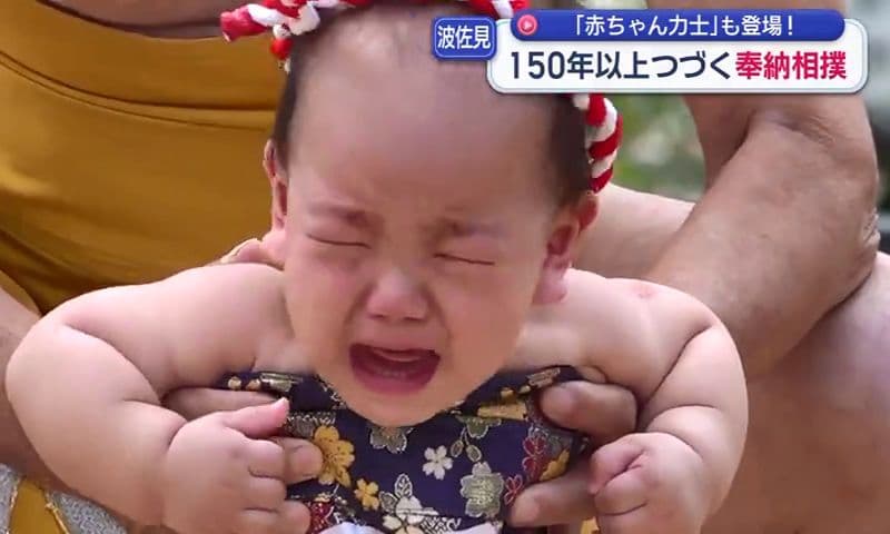 ｢赤ちゃん力士｣も登場！波佐見町で150年以上つづく奉納相撲