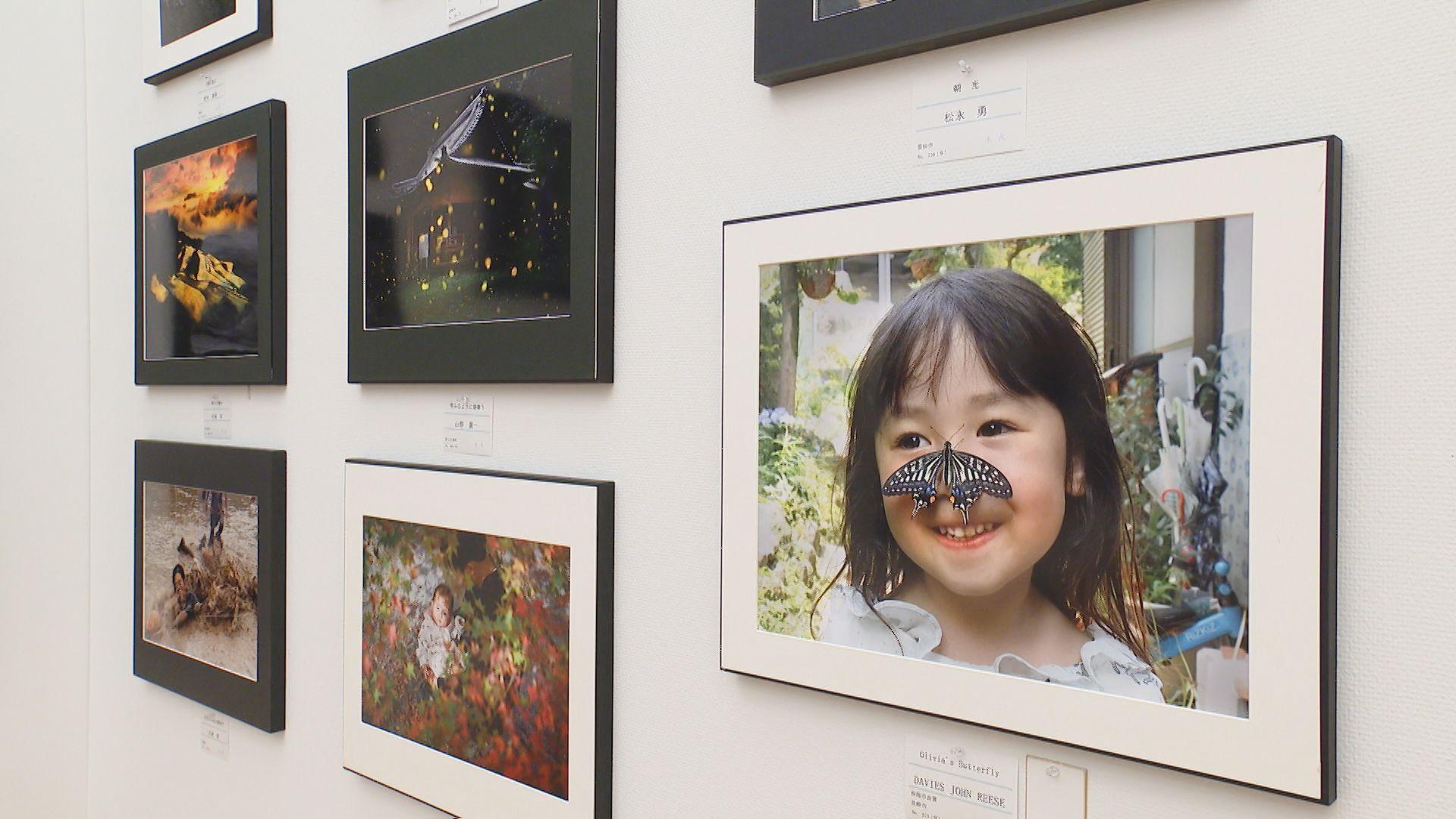 【長崎】県内最大の公募展　第69回「県展」が開幕　今年の西望平和賞は