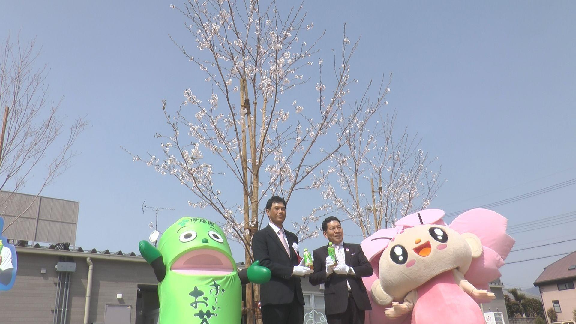 伊藤園が新大村駅公園に桜を植樹