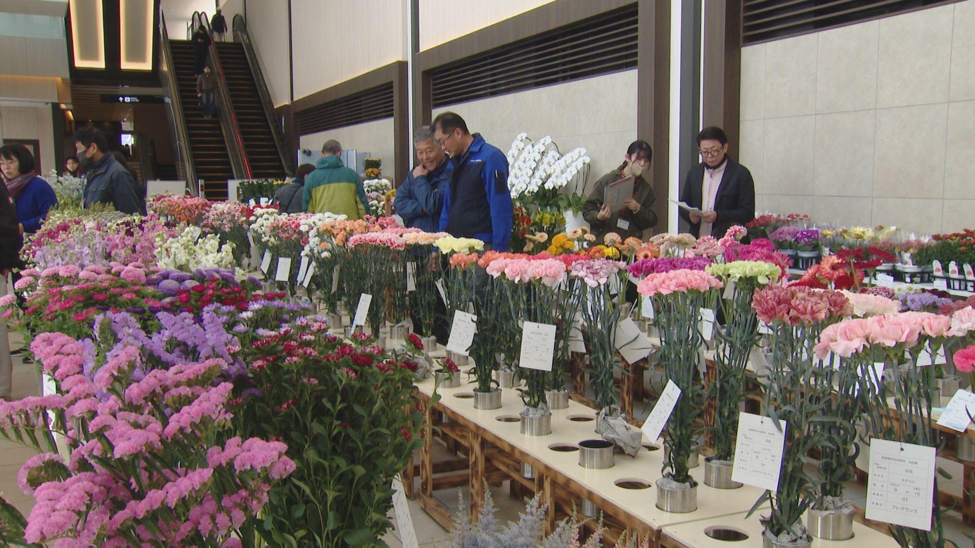 諫早駅で花き品評会 高品質な県産花２７７点集結