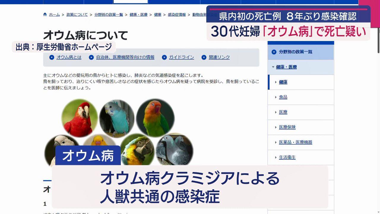 ３０代妊婦 オウム病で死亡か　「県内での死亡例は初」注意すべき症状とは
