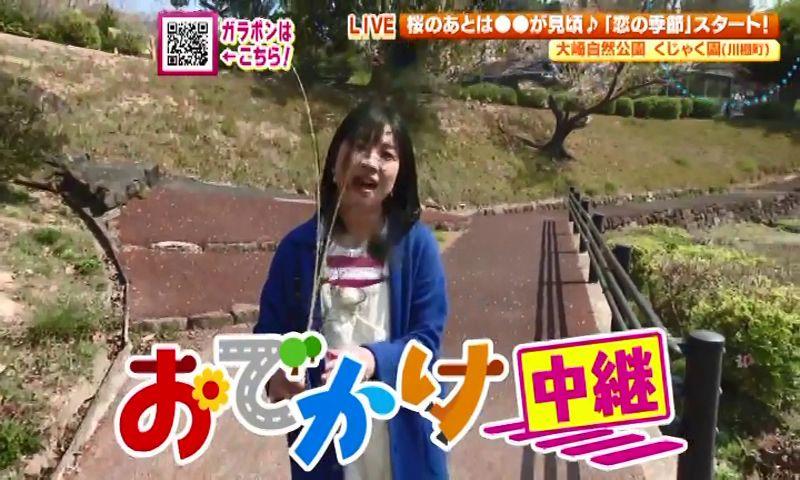 くじゃくのダンスが見られるかも　川棚町で無料おでかけスポット＆季節限定グルメ