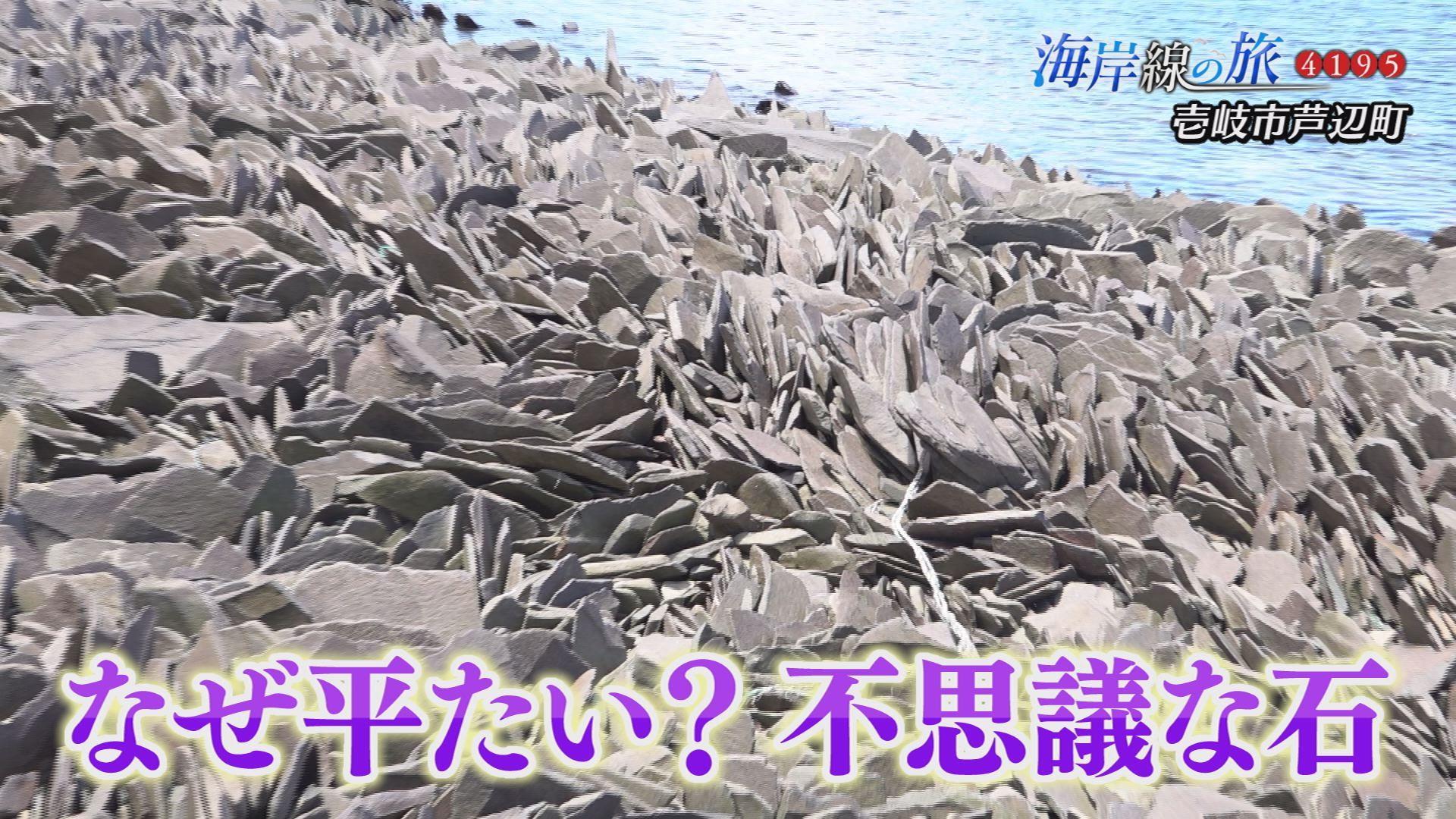 まるで巨大な龍の鱗！知る人ぞ知る不思議で神秘的な光景が広がる海岸！壱岐市「龍蛇浜」