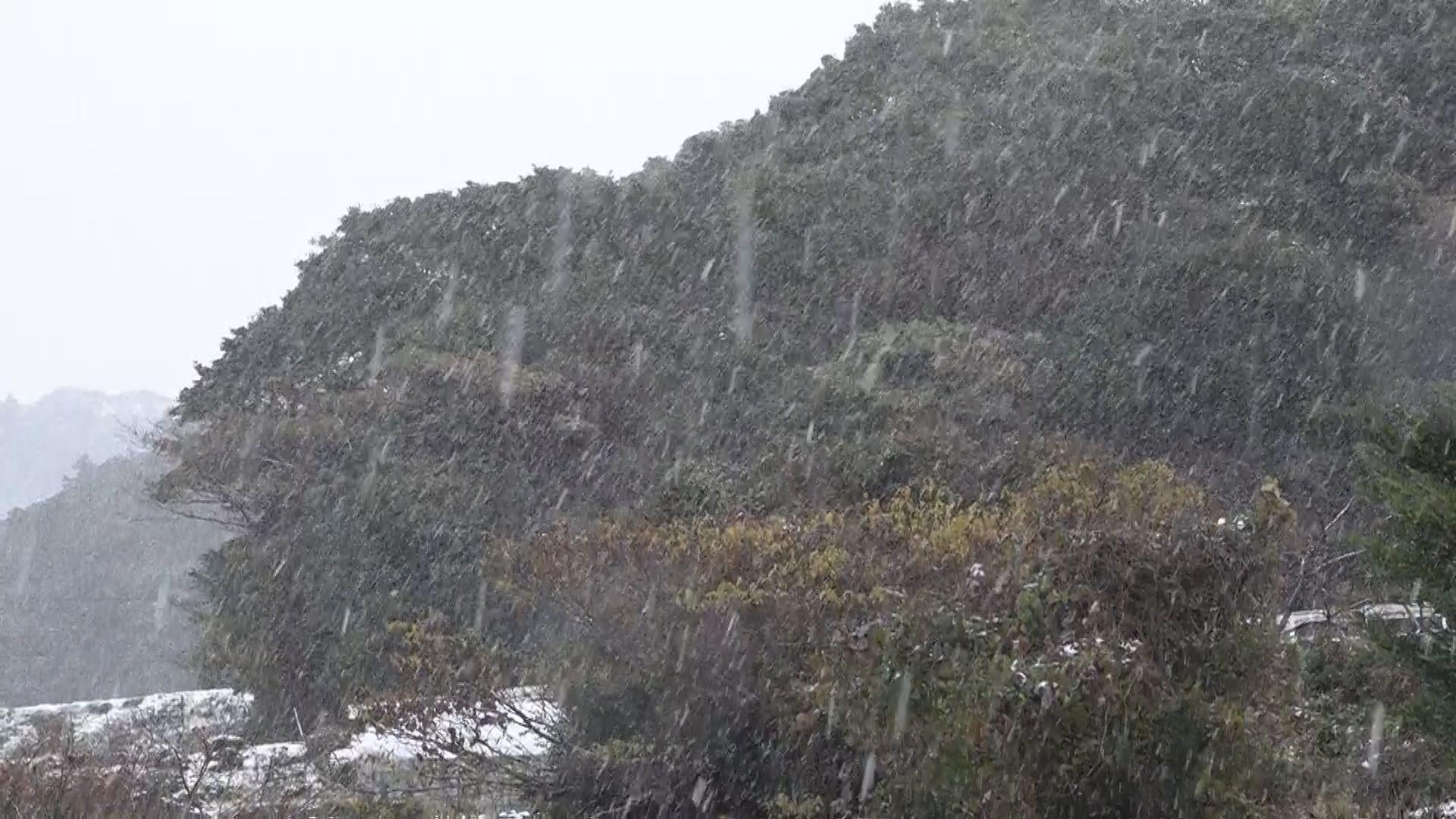 県内で初雪を観測　佐世保市では積雪…山間部では交通規制も