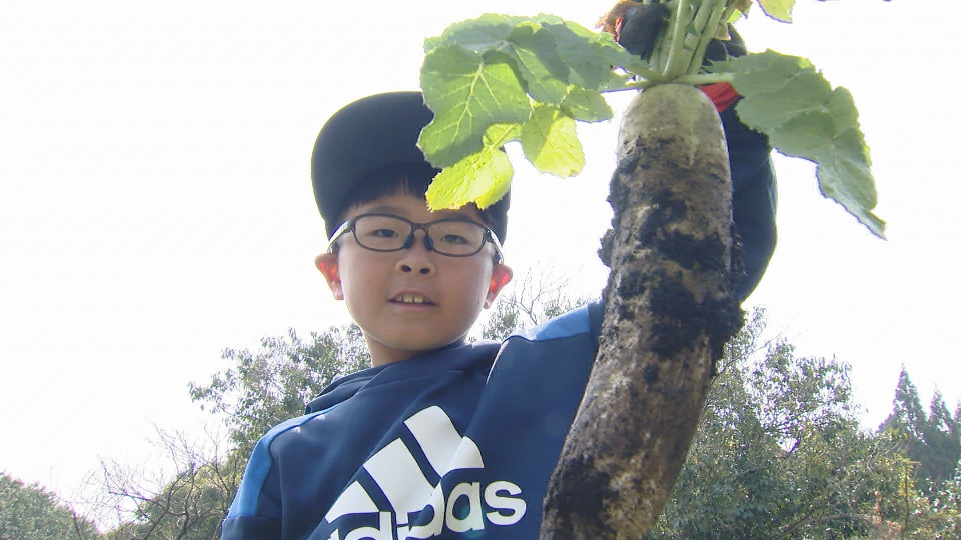 野菜摂取率向上へ　野菜収穫体験イベント