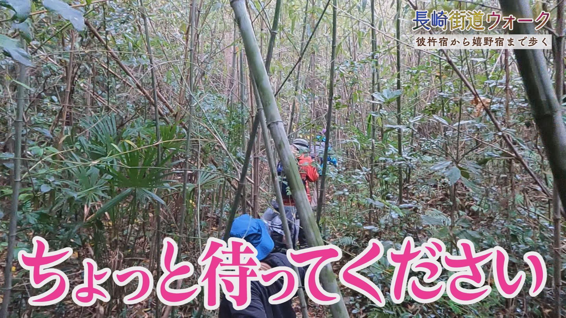 そのぎ茶に東彼杵名物「茶ちゃ焼」も！特集は長崎街道ウォーク(彼杵宿－嬉野宿)
