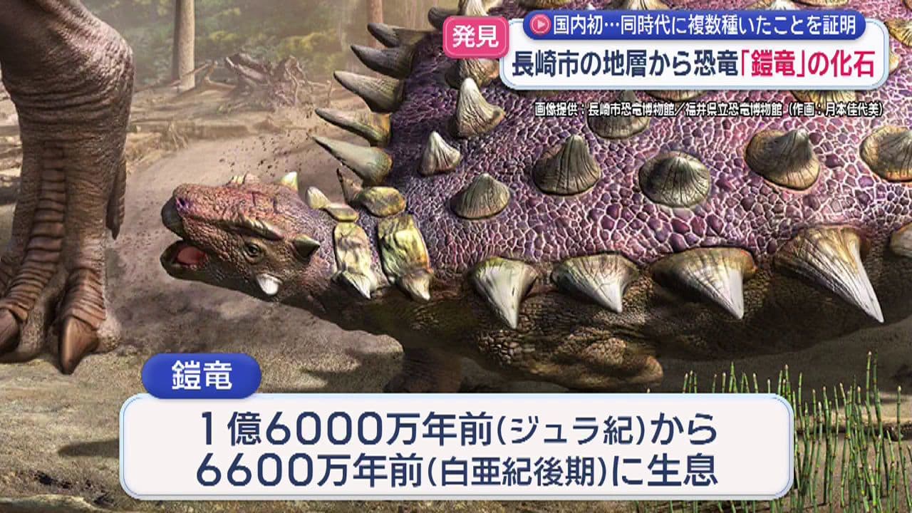 長崎市で恐竜「鎧竜」の歯の化石発見 同時代に複数種いたことを示す 