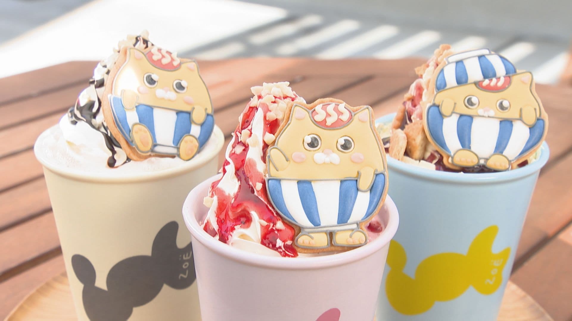 「推しグルメ」を見つけてみませんか？「波佐見焼ランチ＆スイーツフェア」始まる