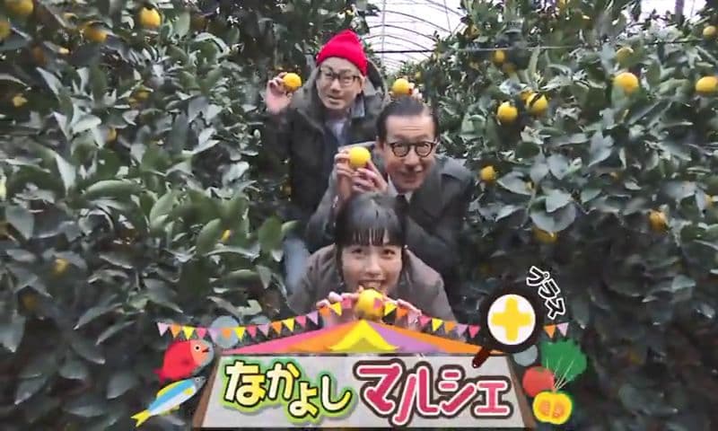 老舗菓子店×幻のかんきつ　新しい佐世保のお菓子を紹介　