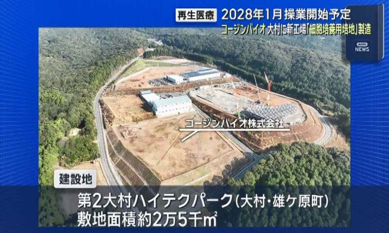 【再生医療】コージンバイオ大村に新工場 2028年1月操業開始予定