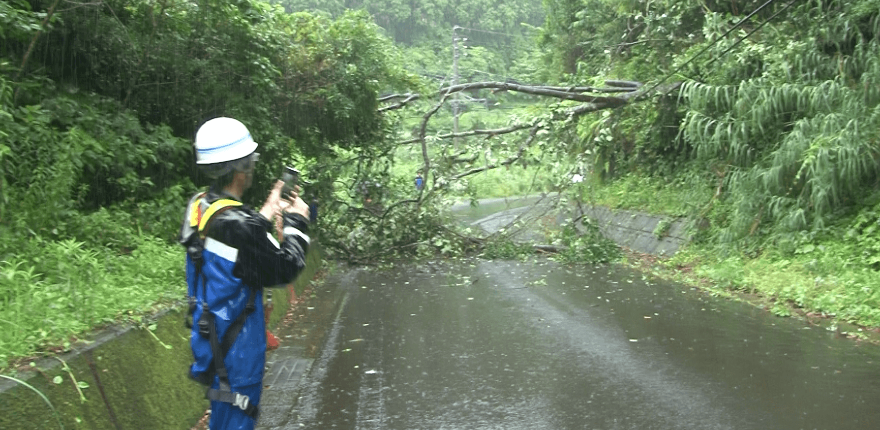 大雨の五島市平蔵町で倒木 市道が一時通行止め