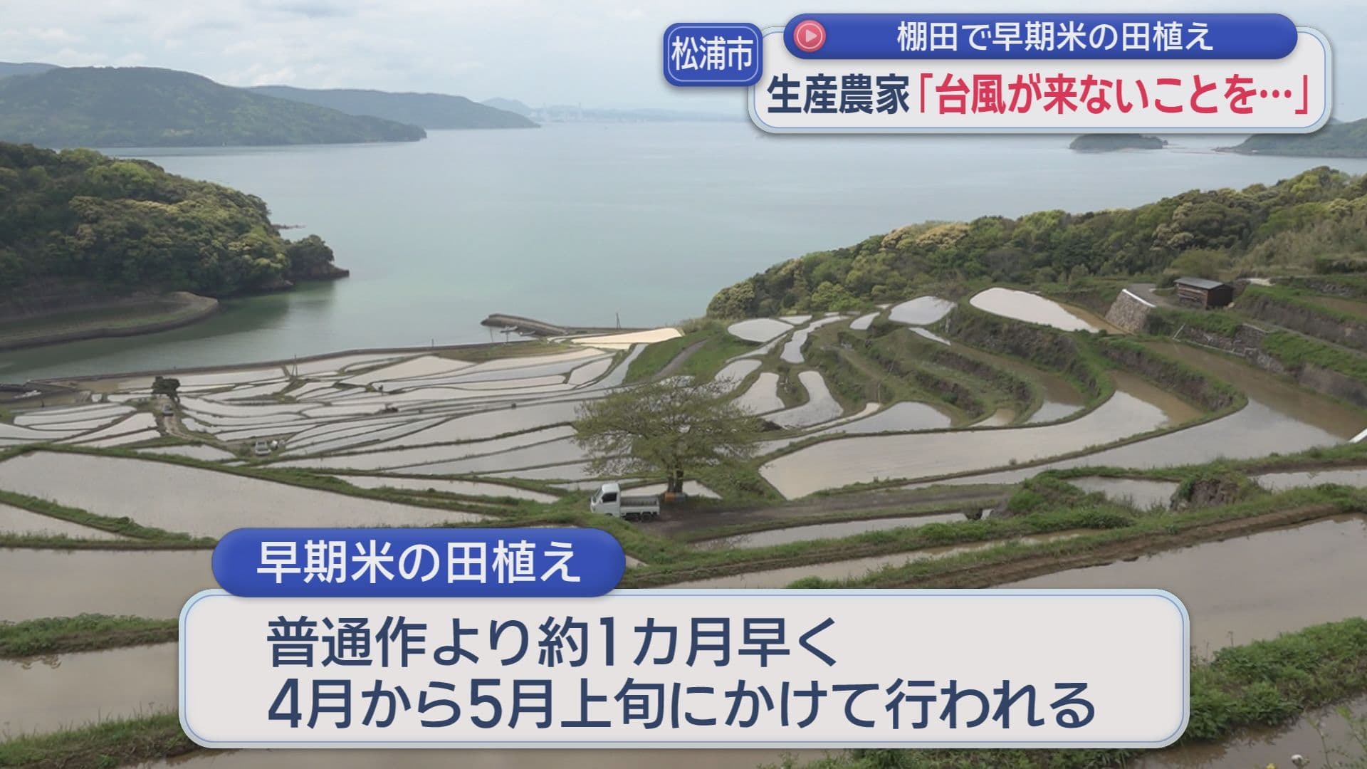 0429松浦田植え3