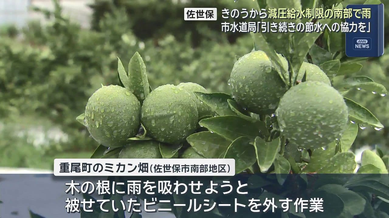 昨日から減圧給水制限の南部で雨　市水道局「引き続きの節水への協力を」