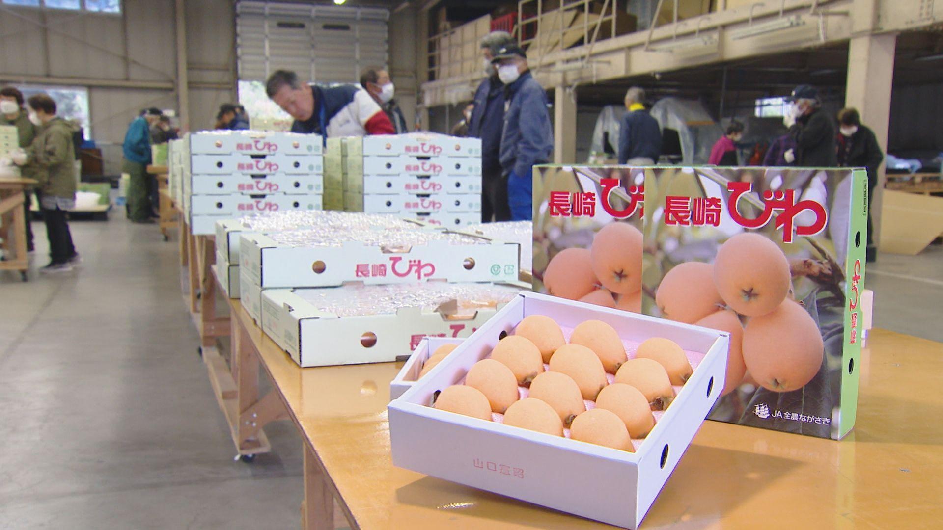 「全部食べてもらいたい」生産量日本一の「ハウスびわ」出荷シーズン始まり告げる出発式