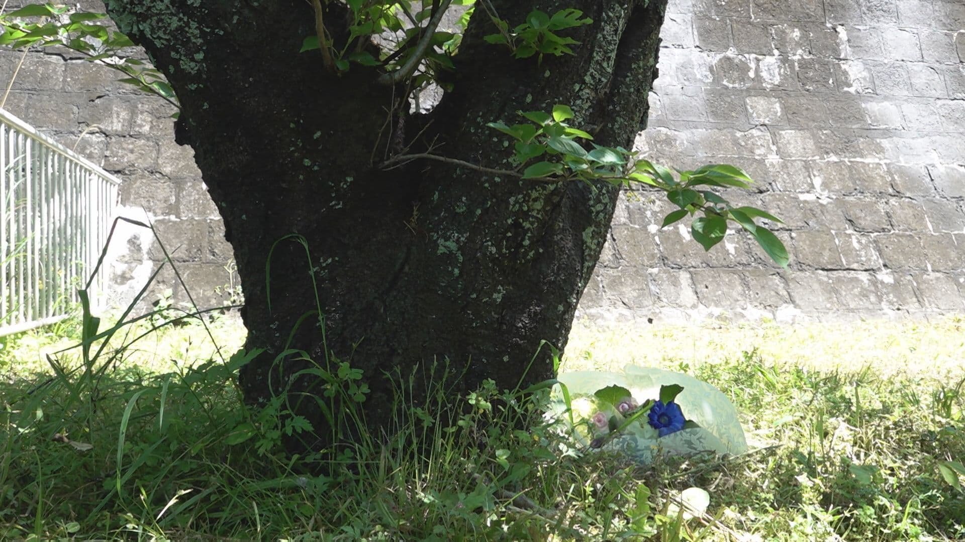 海星高校 生徒いじめ自殺から９年 遺族が献花 「朗報を伝えられるように」学校側との訴訟 6月判決
