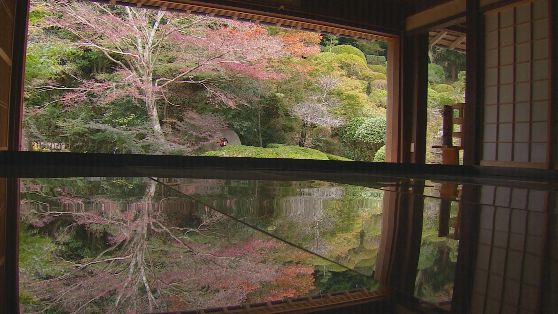 【長崎】まるで水面に浮かぶような「逆さ紅葉」公開　佐世保市江迎町の寿福寺で２４日まで