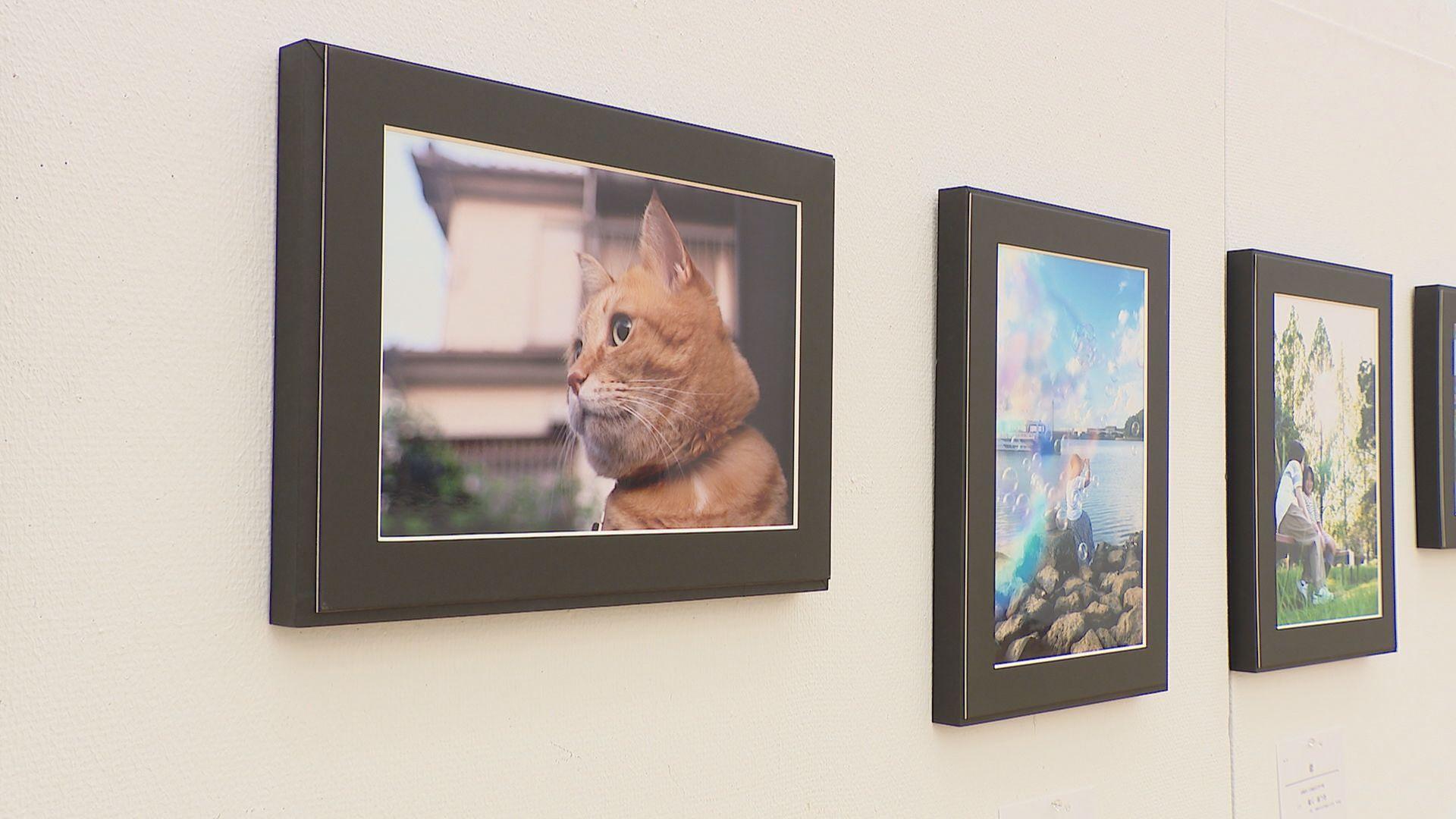 高校生の視点や思いを映した写真３６３点　スマホの普及で作品にも変化が